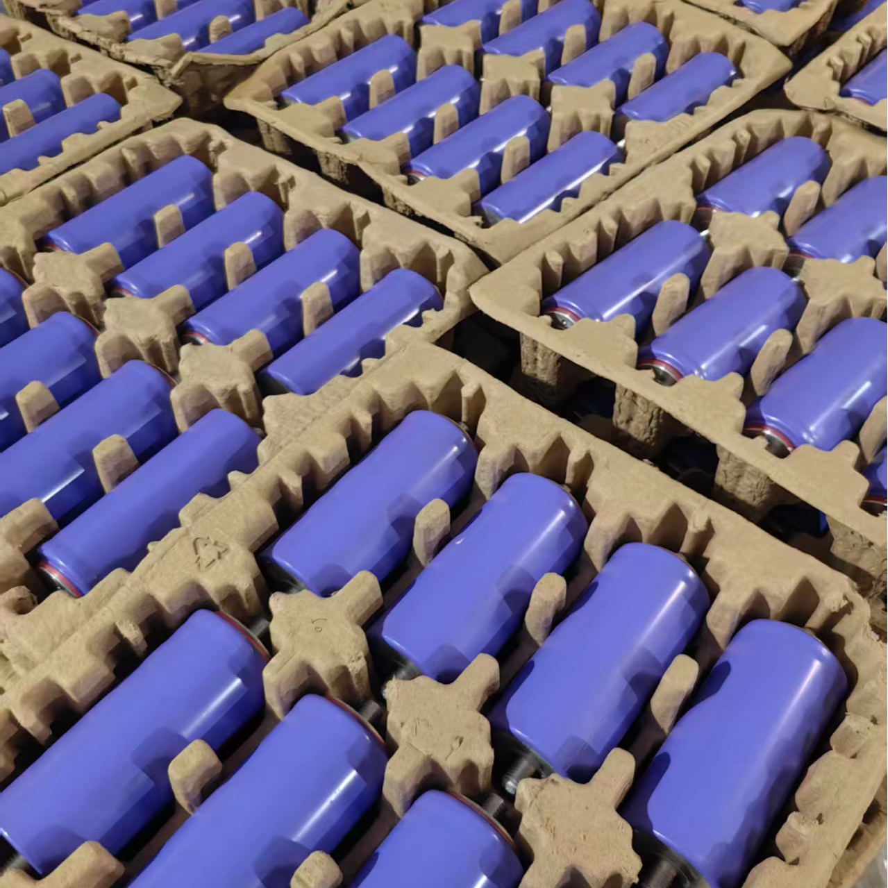 钛酸锂 裸奔单支 6只起 自己组装 三轮 储能 春天