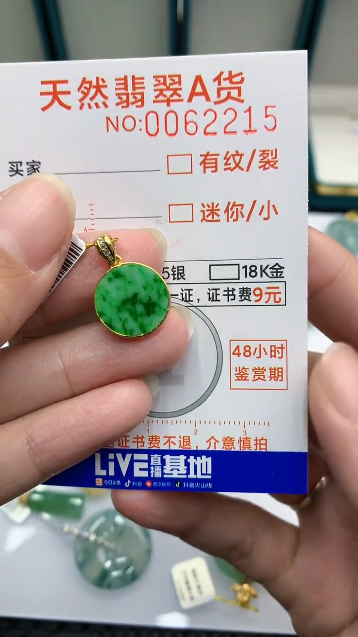 【闪购商品】翡翠颈饰银S925镶嵌            8