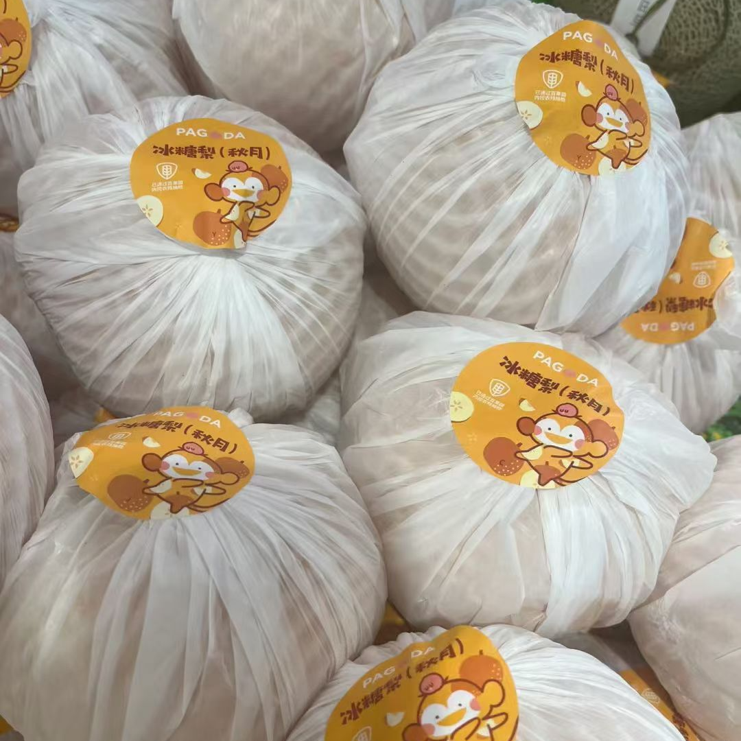 果切秋月冰糖梨新鲜脆甜约500±50g/个