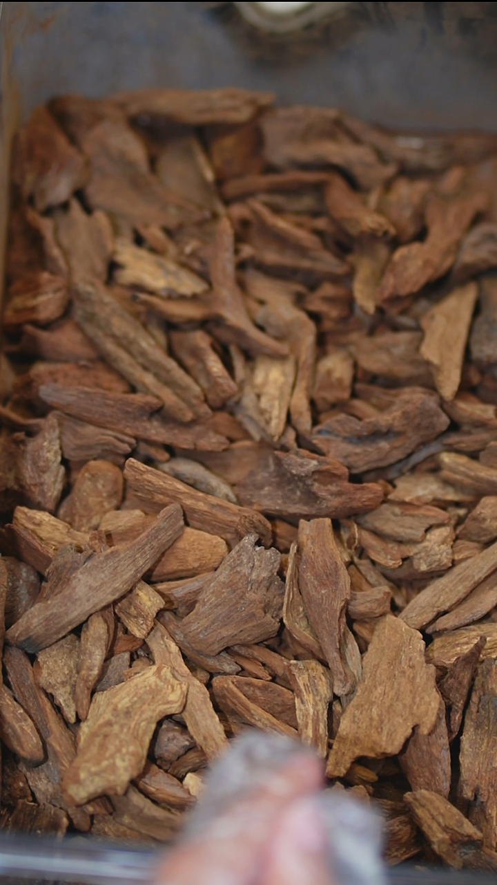 沉香沉香碎屑富森碳化香料沉水5克