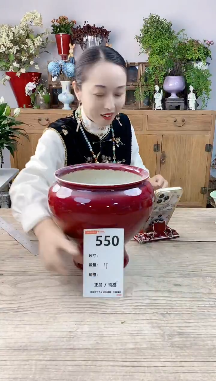 小玩子花盆直播号550