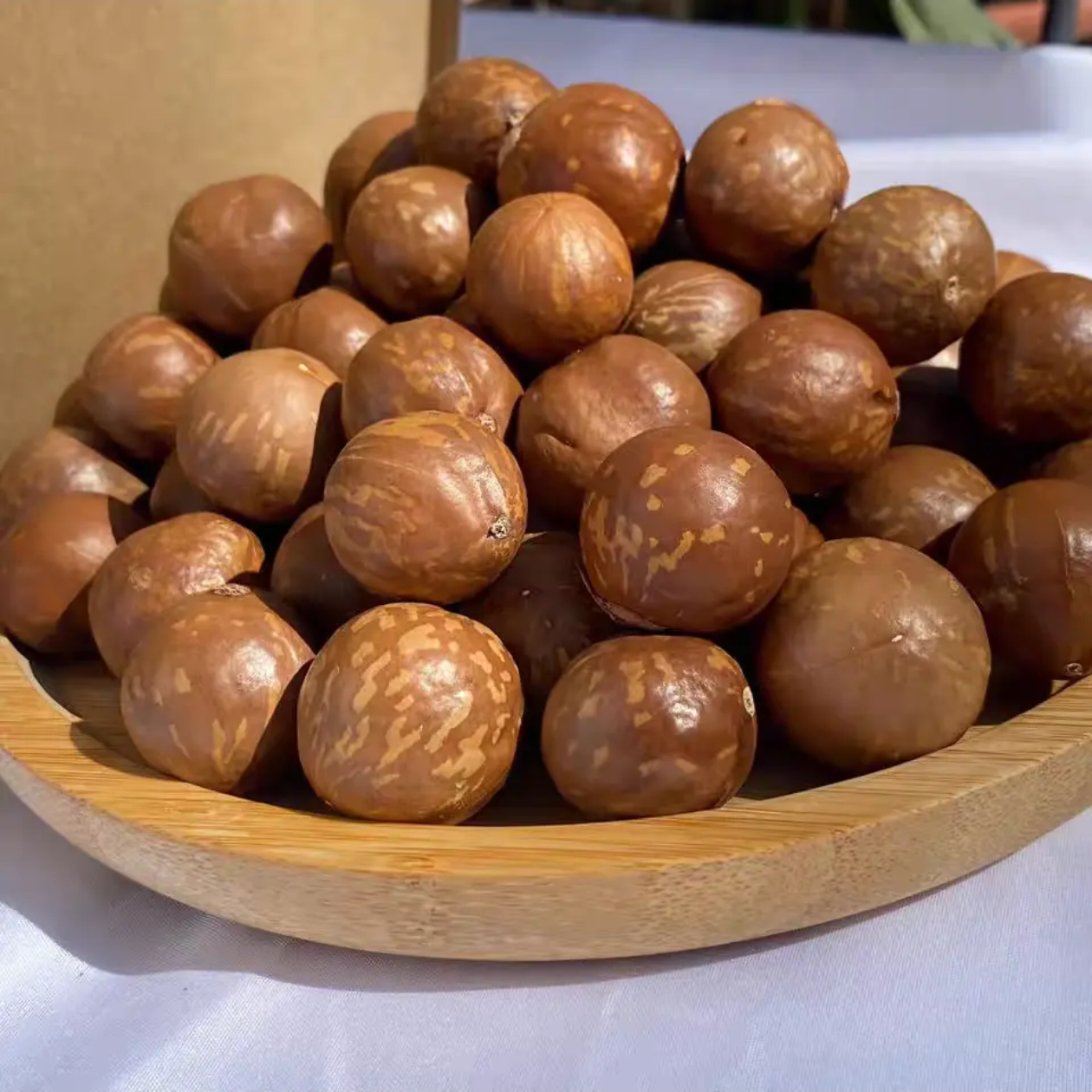 S.坚果夏威夷果颗粒饱满坚果开口器