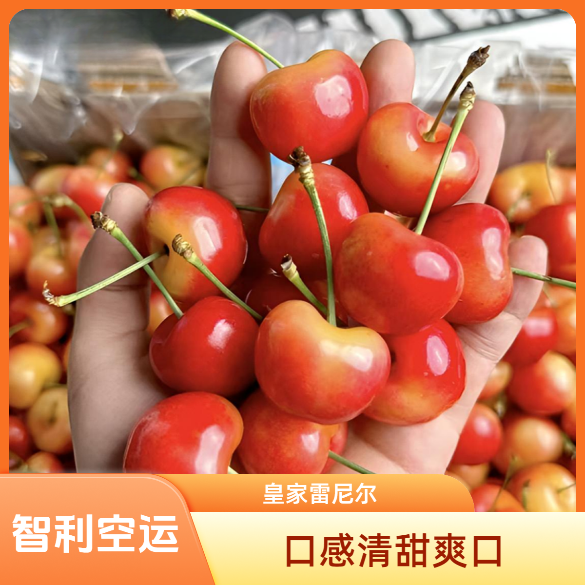 【空运雷尼尔】智利车厘子进口黄金车厘子原箱4J/5J 2-4.4斤原箱雷尼尔车厘子樱桃雷尼尔智利