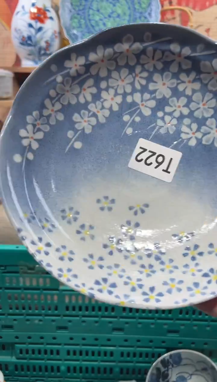 瓷片林瓷片------T622