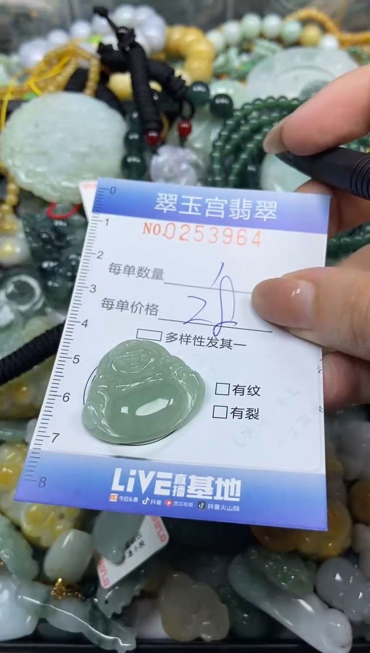 颈饰未镶嵌翡翠闪购C0253964