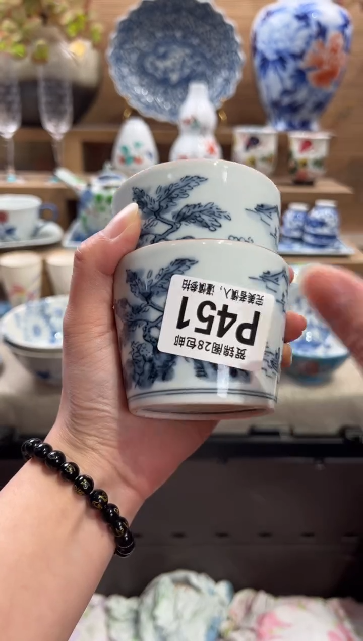 瓷片一**美      P451