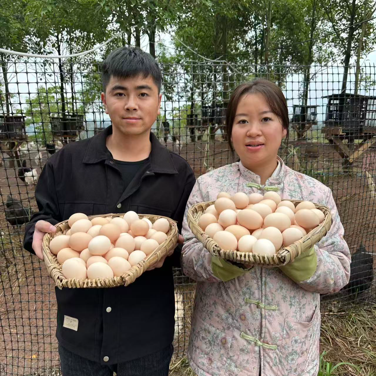 【二娃一家人】农鲜军20/40枚玉米黄鸡蛋健康营养整箱顺丰包邮