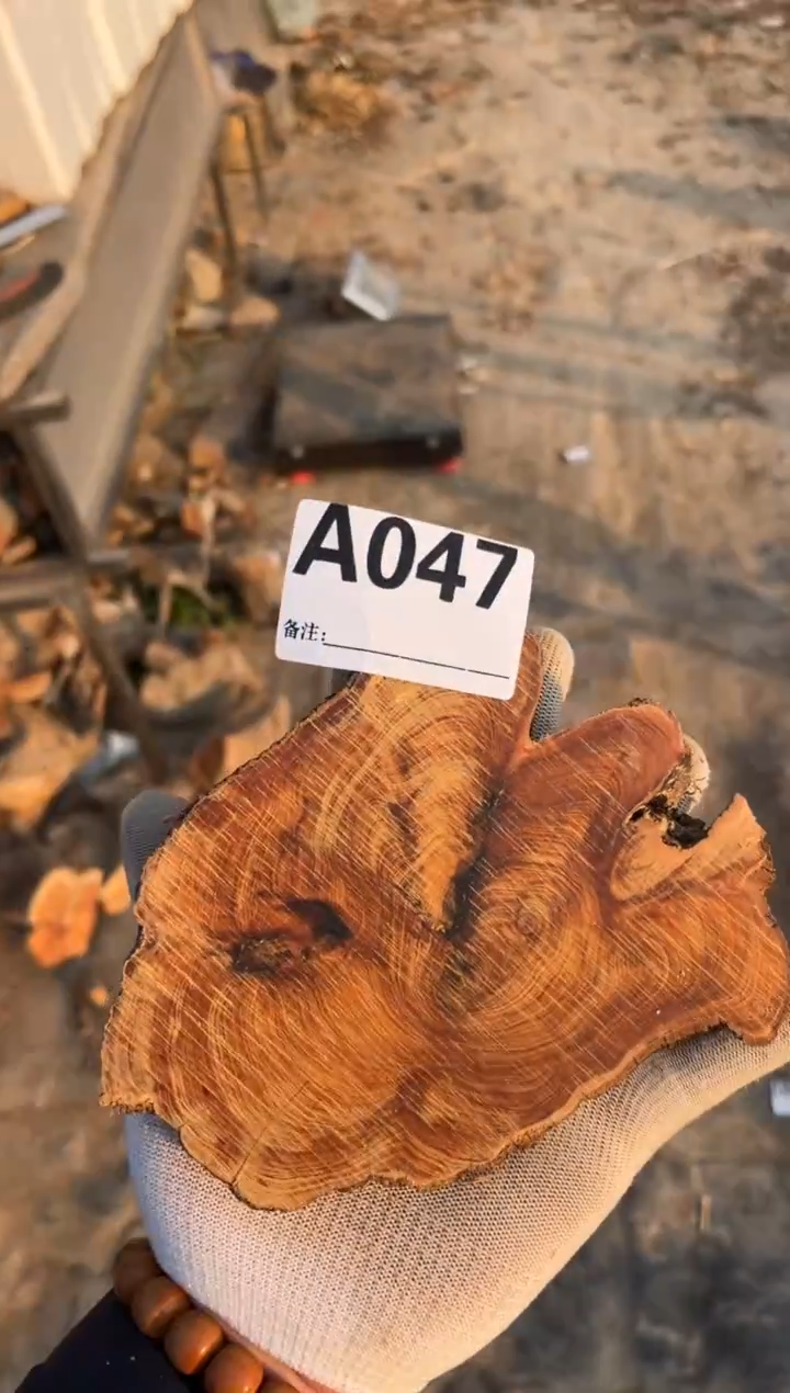 柏木（崖柏）太行崖柏香块