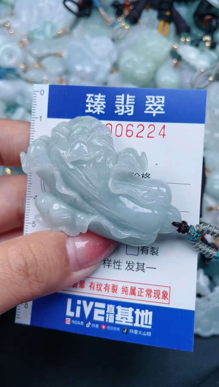 【闪购商品】翡翠颈饰未镶嵌.0006224