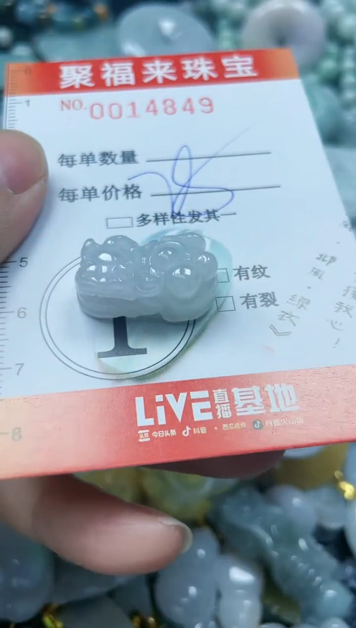 【闪购商品】翡翠颈饰未镶嵌闪购0014849