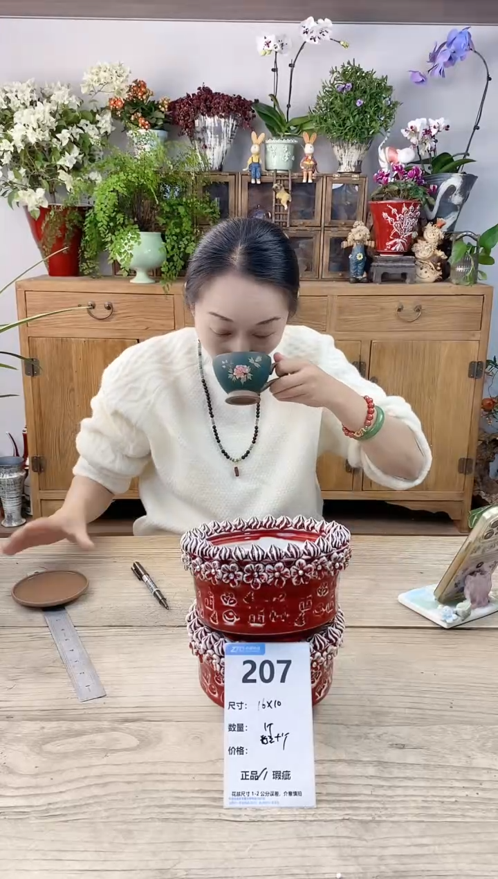 小玩子花盆直播编号207