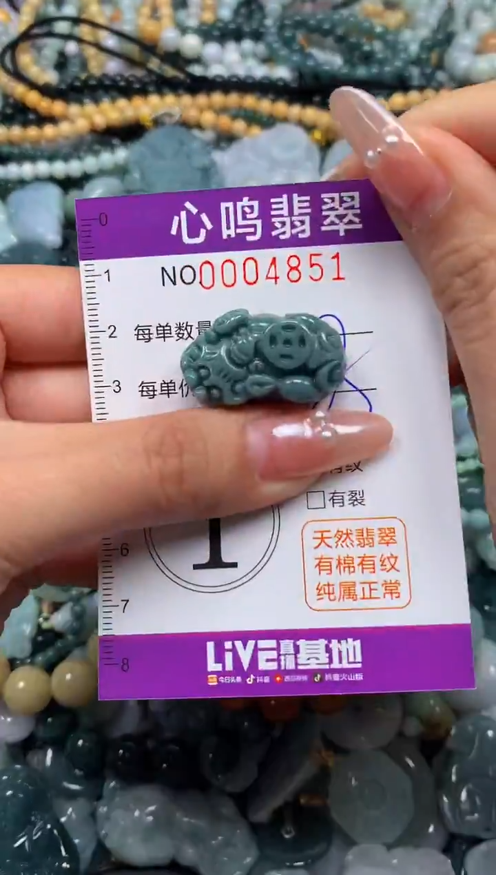 颈饰未镶嵌翡翠闪购004851
