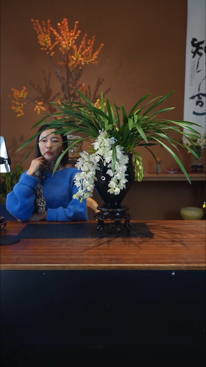 全部花朵冰瀑垂兰盆景盆景盆景