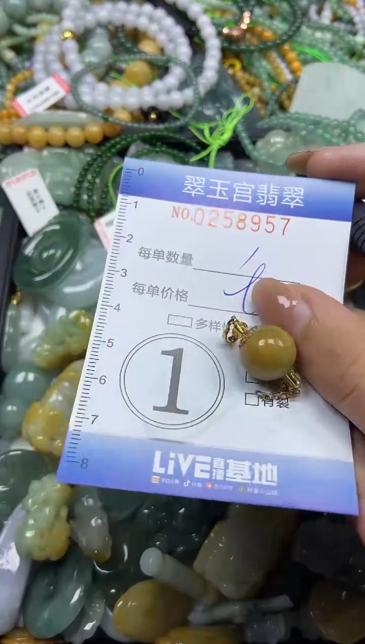 颈饰未镶嵌翡翠闪购C0258957