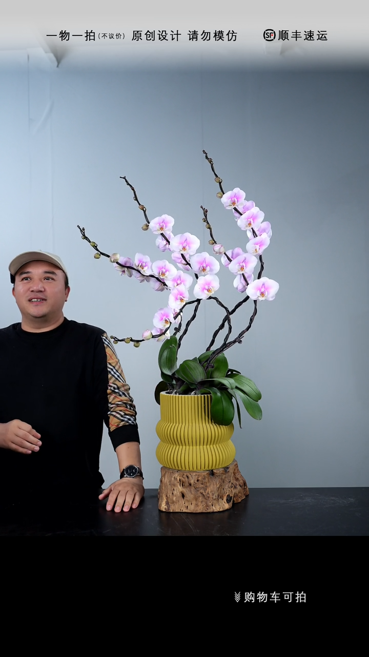 【闪购商品】015号链接【一物一拍】艺术盆景