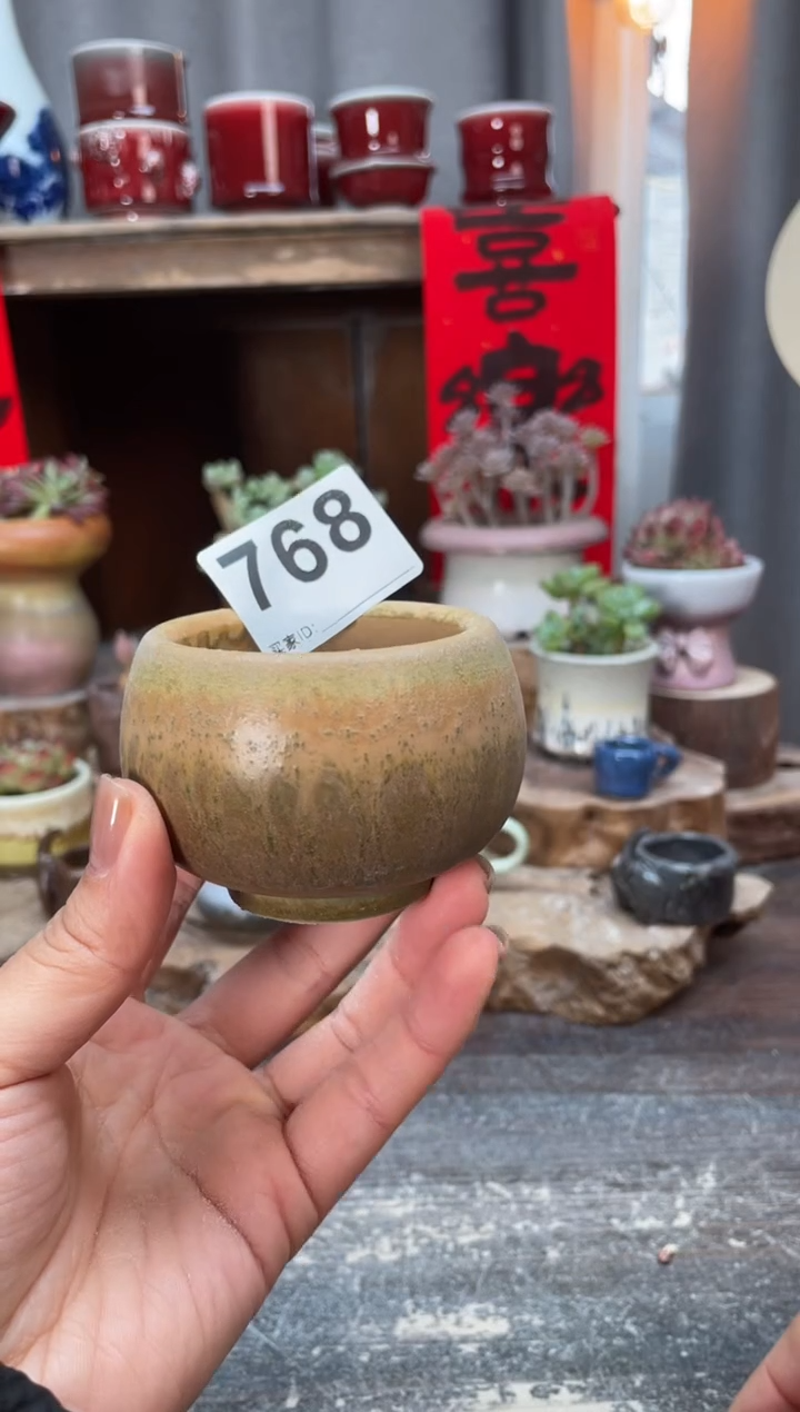 【闪购商品】摆件768知木小芳花盆