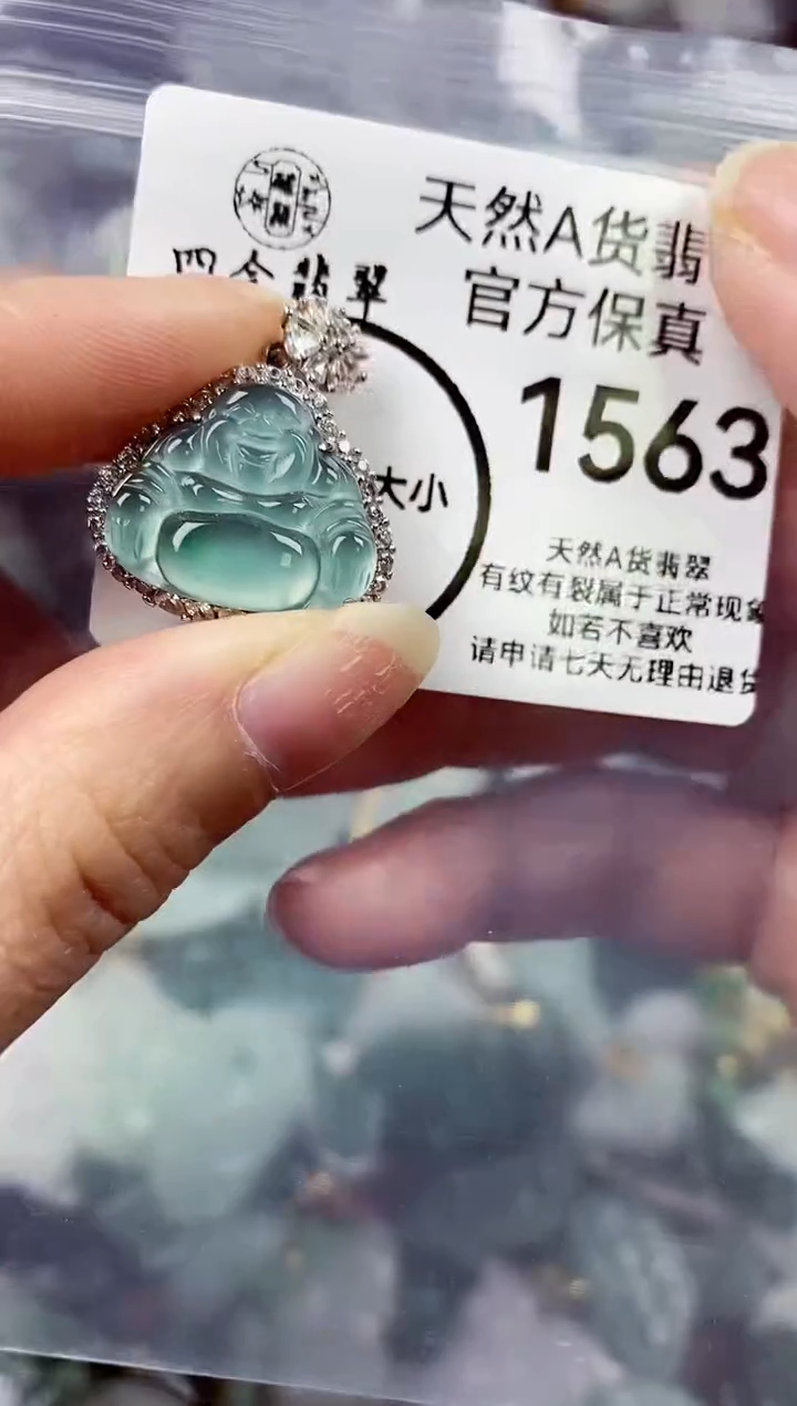 【闪购商品】翡翠颈饰未镶嵌天然A货翡翠1563