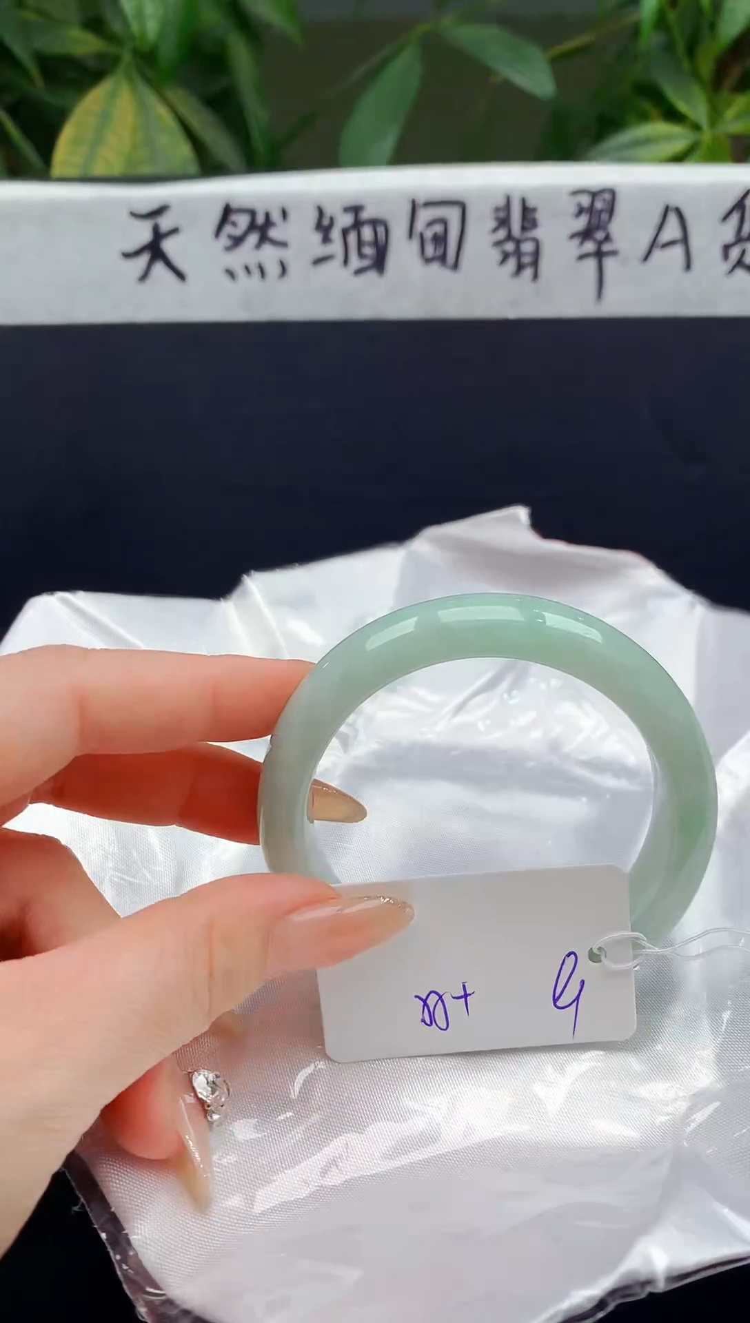 未镶嵌手镯翡翠91