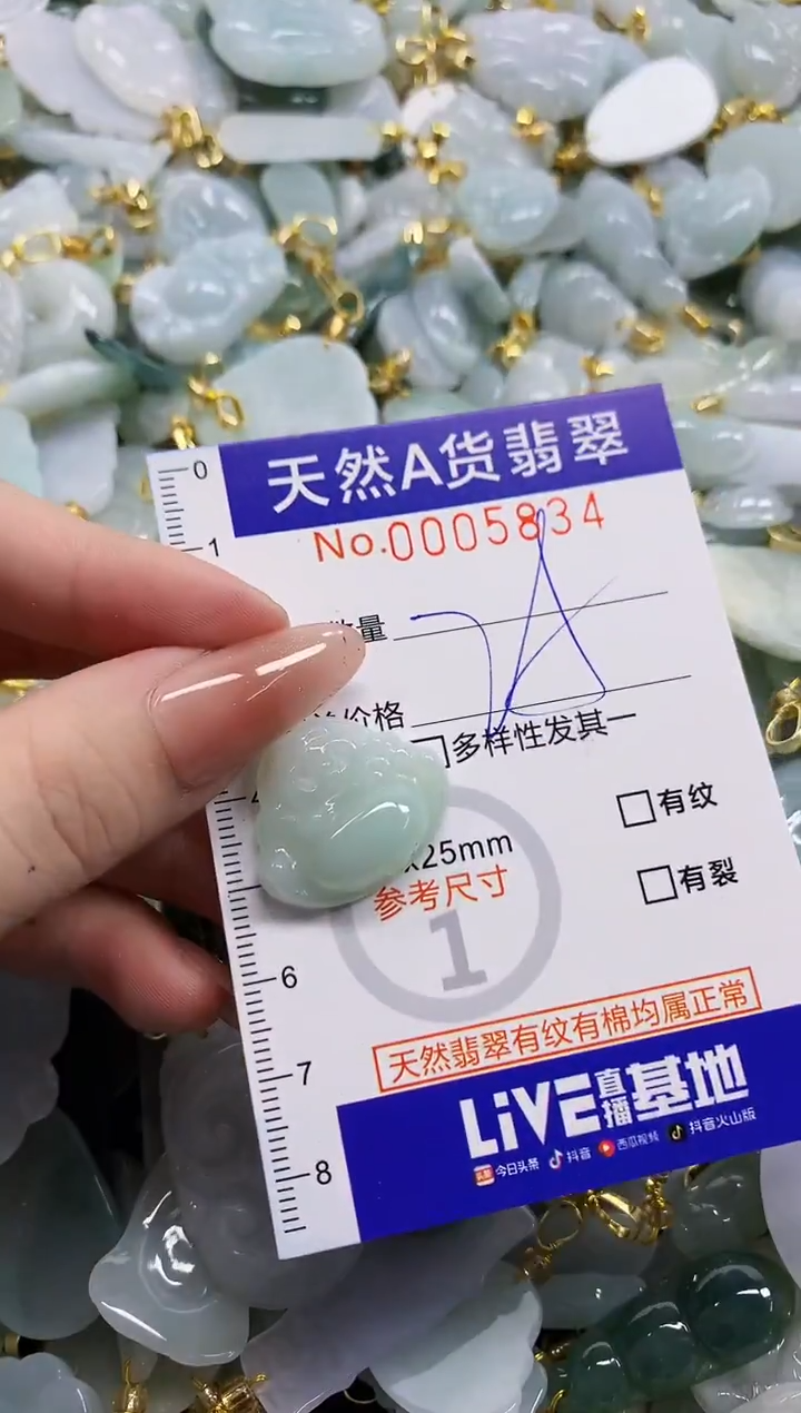 颈饰未镶嵌翡翠天然A货翡翠