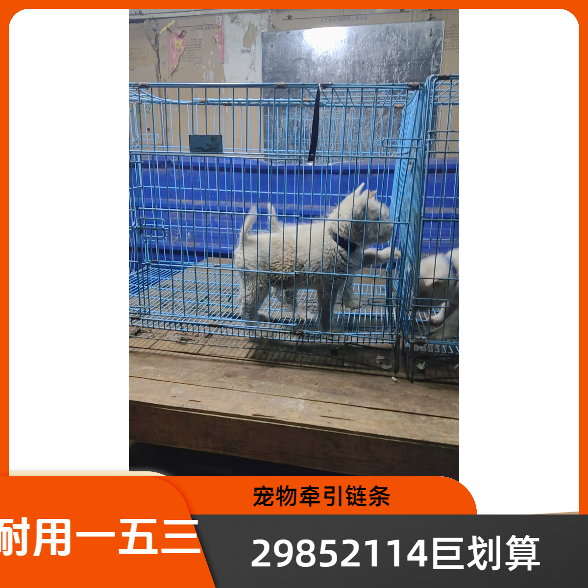 各种土猎犬 狗笼子