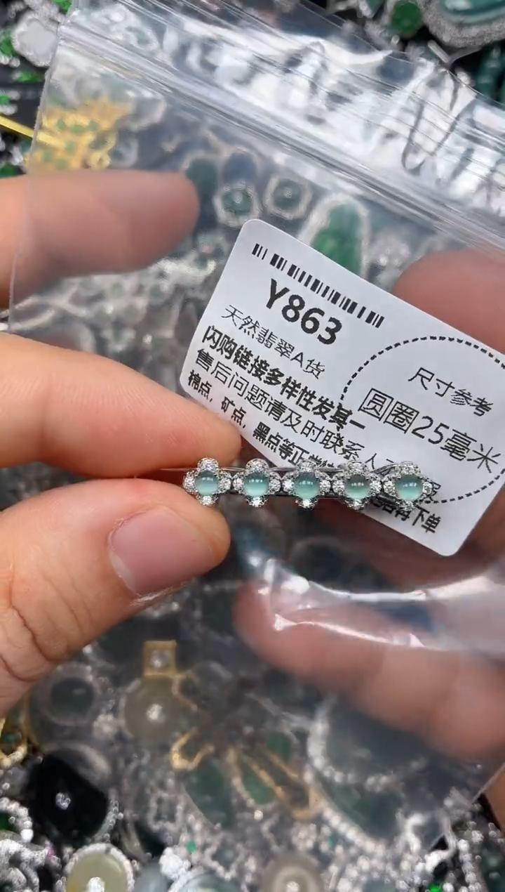 颈饰未镶嵌翡翠Y863发夹