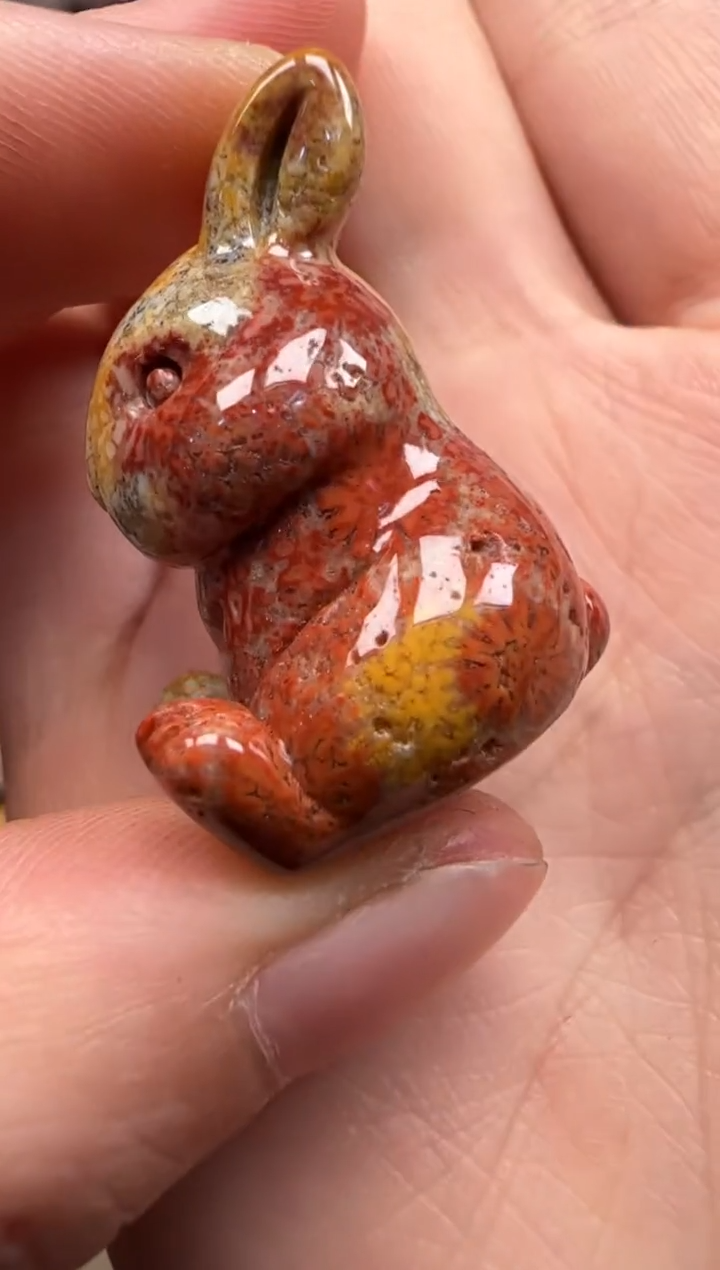 【闪购商品】硅化珊瑚（珊瑚玉）颈饰未镶嵌111