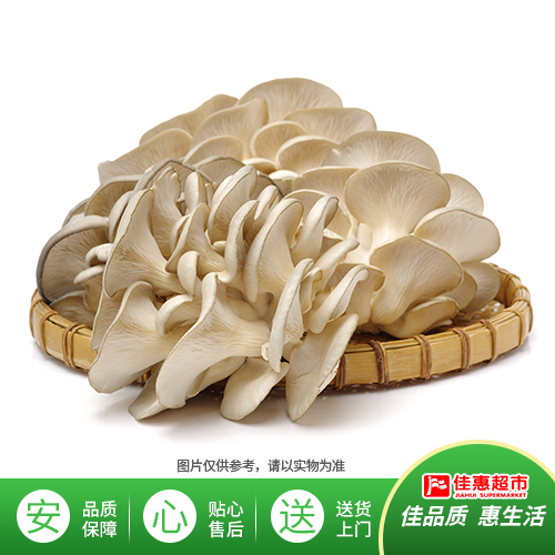【新鲜】平菇约300g/份