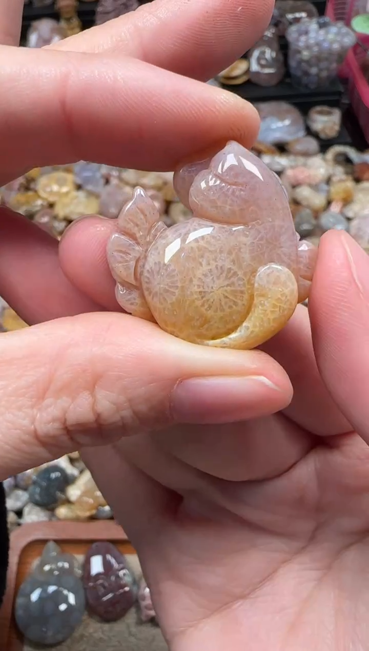 颈饰未镶嵌硅化珊瑚（珊瑚玉）392