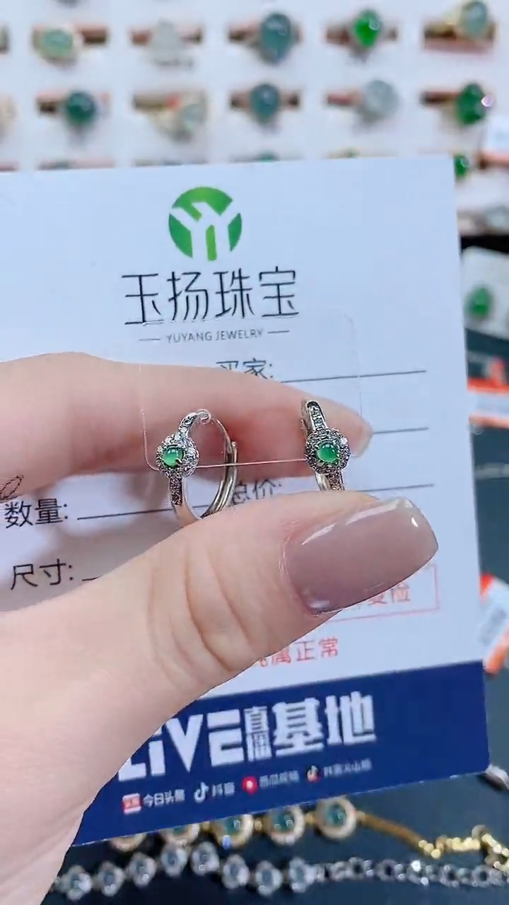 银S925镶嵌翡翠耳饰天然翡翠