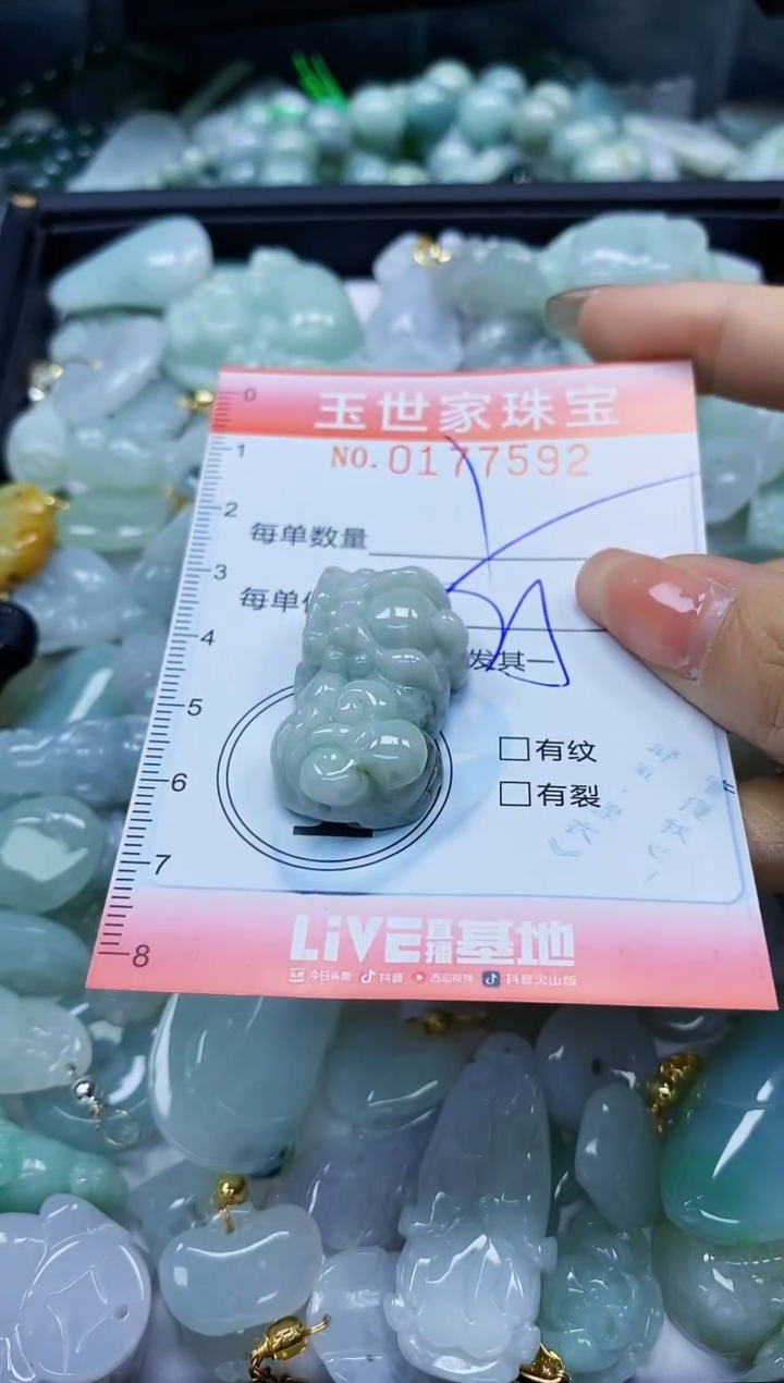 【闪购商品】翡翠颈饰未镶嵌闪购0177592