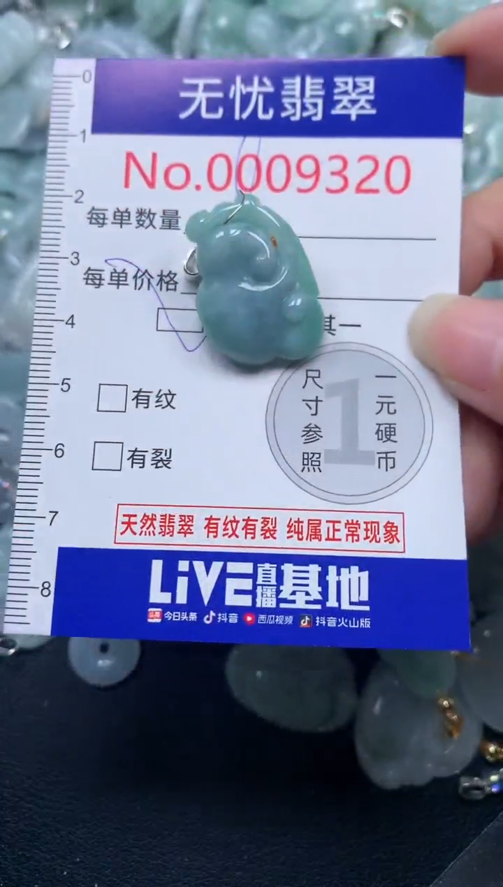 颈饰未镶嵌翡翠9320