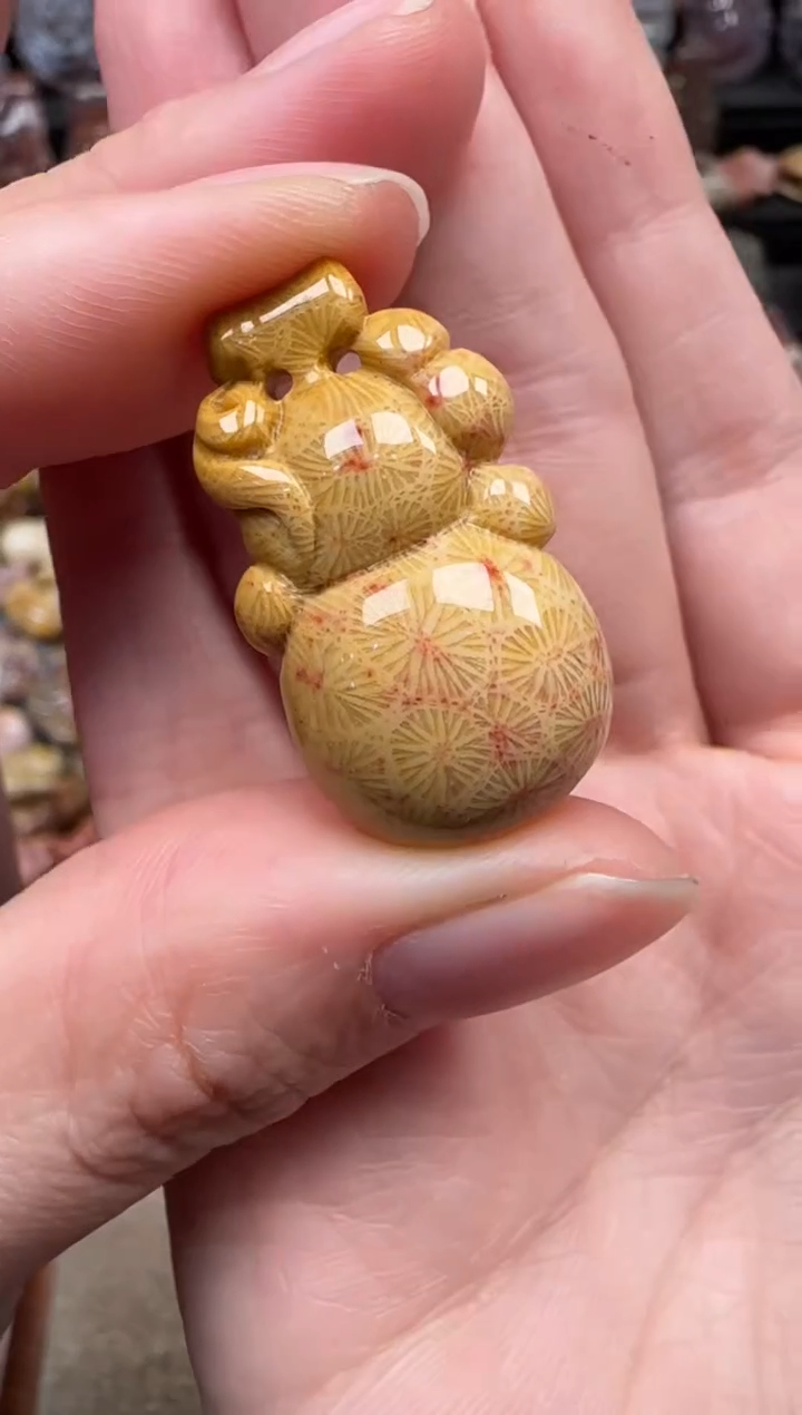 颈饰未镶嵌硅化珊瑚（珊瑚玉）218