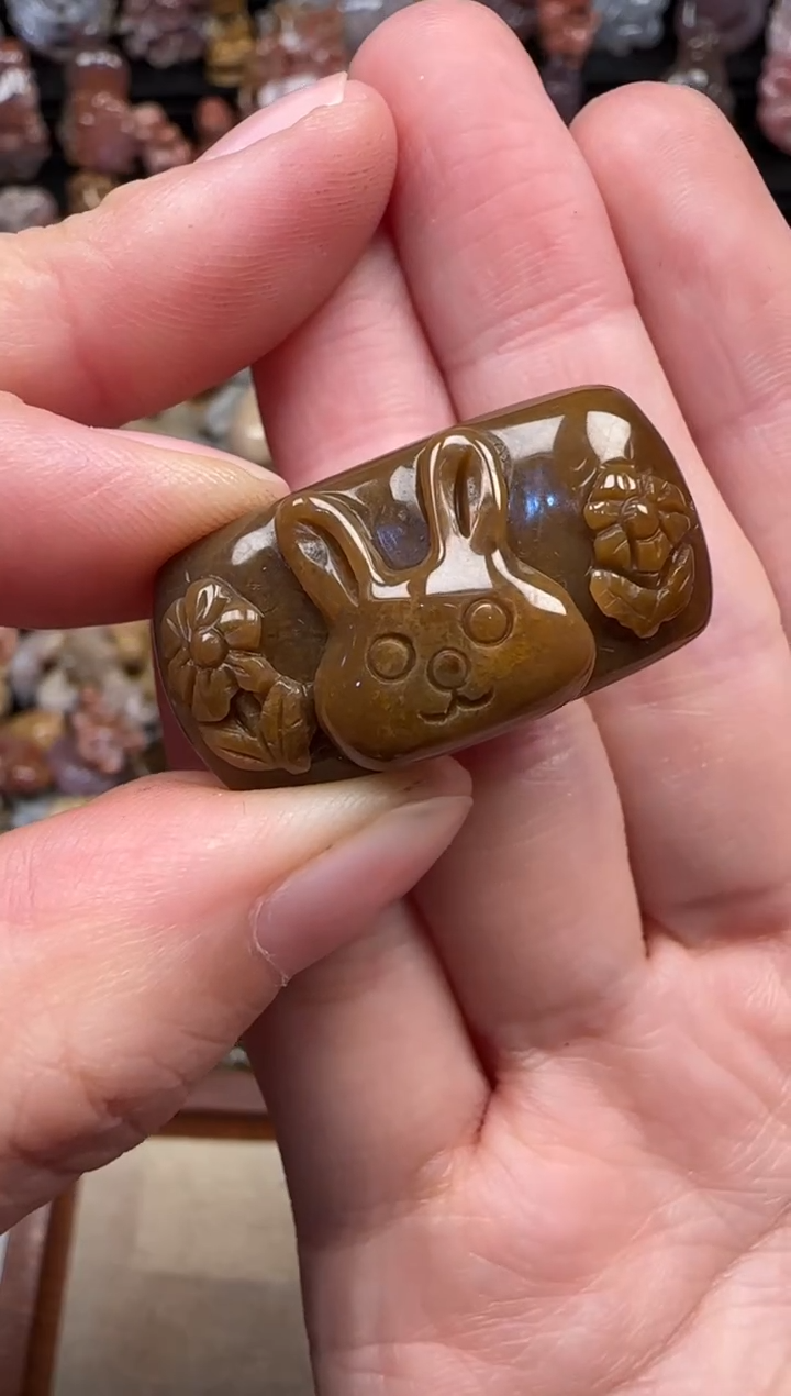 颈饰未镶嵌硅化珊瑚（珊瑚玉）221