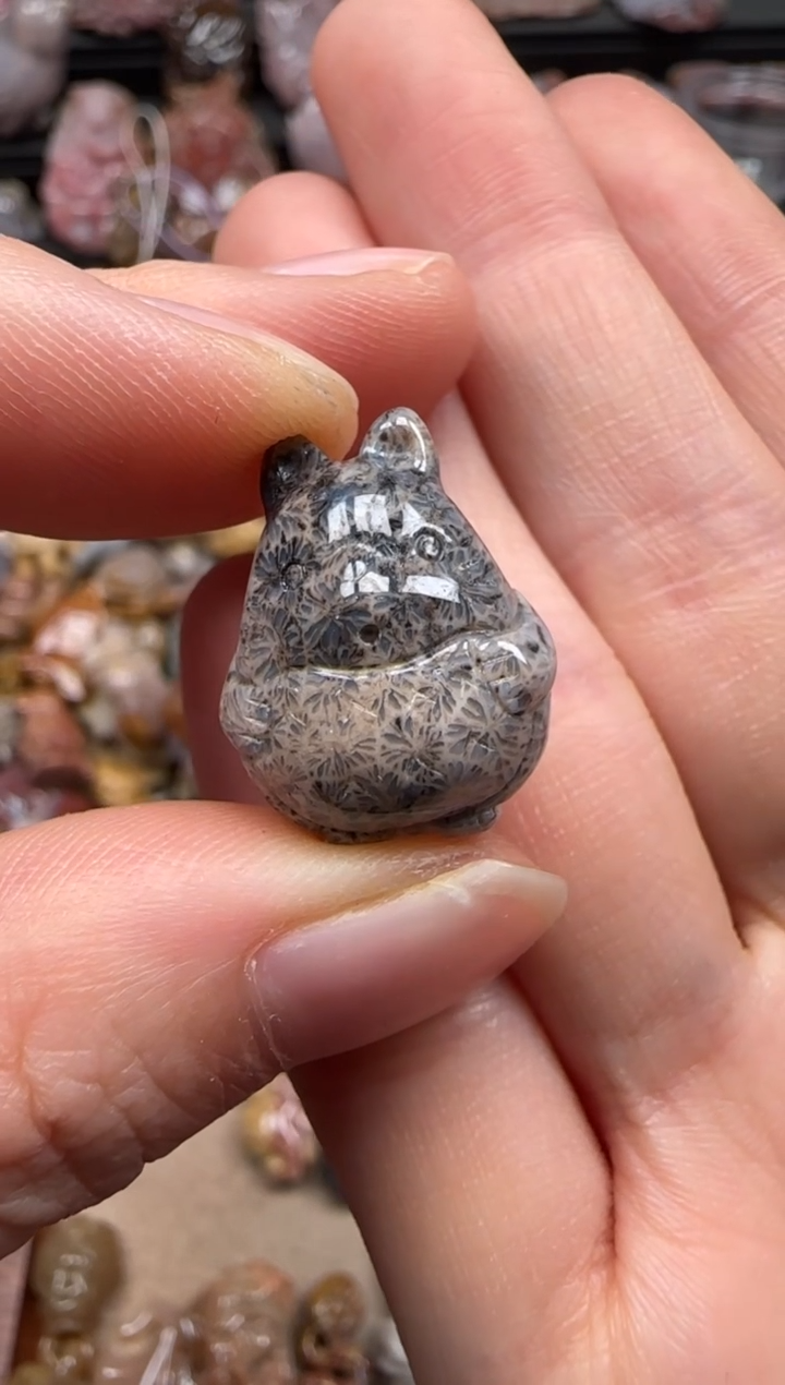 【闪购商品】硅化珊瑚（珊瑚玉）颈饰未镶嵌427