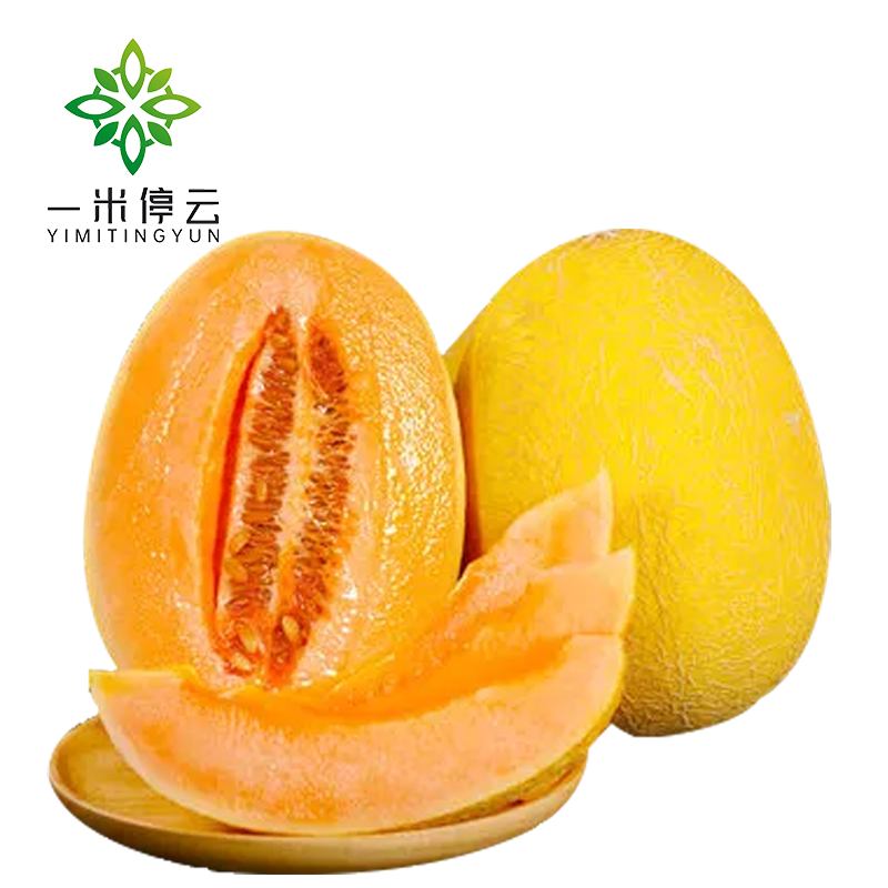 金蜜哈密瓜【约五斤】