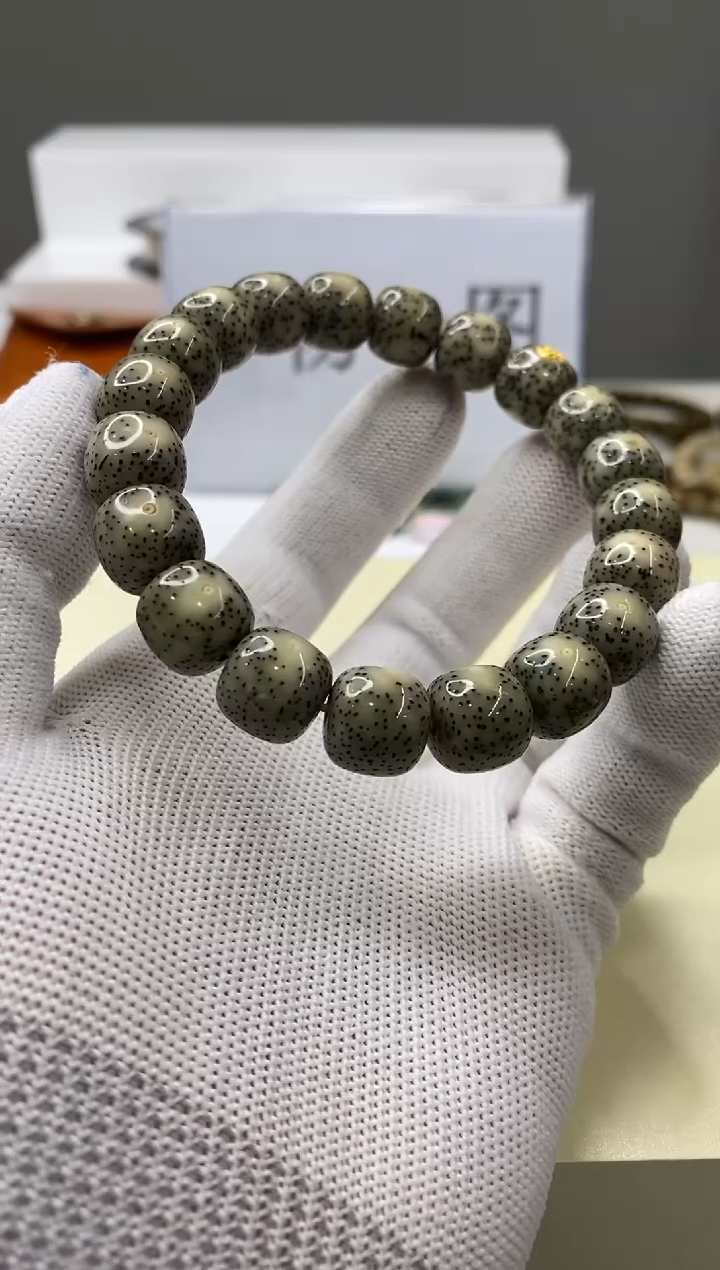 手串星月菩提一物一图-W21-226