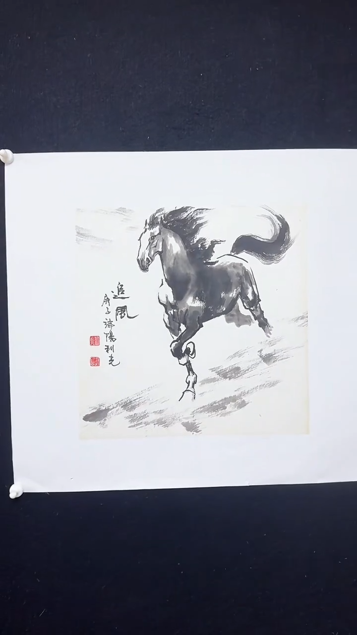【闪购商品】国画绘画斗方追风