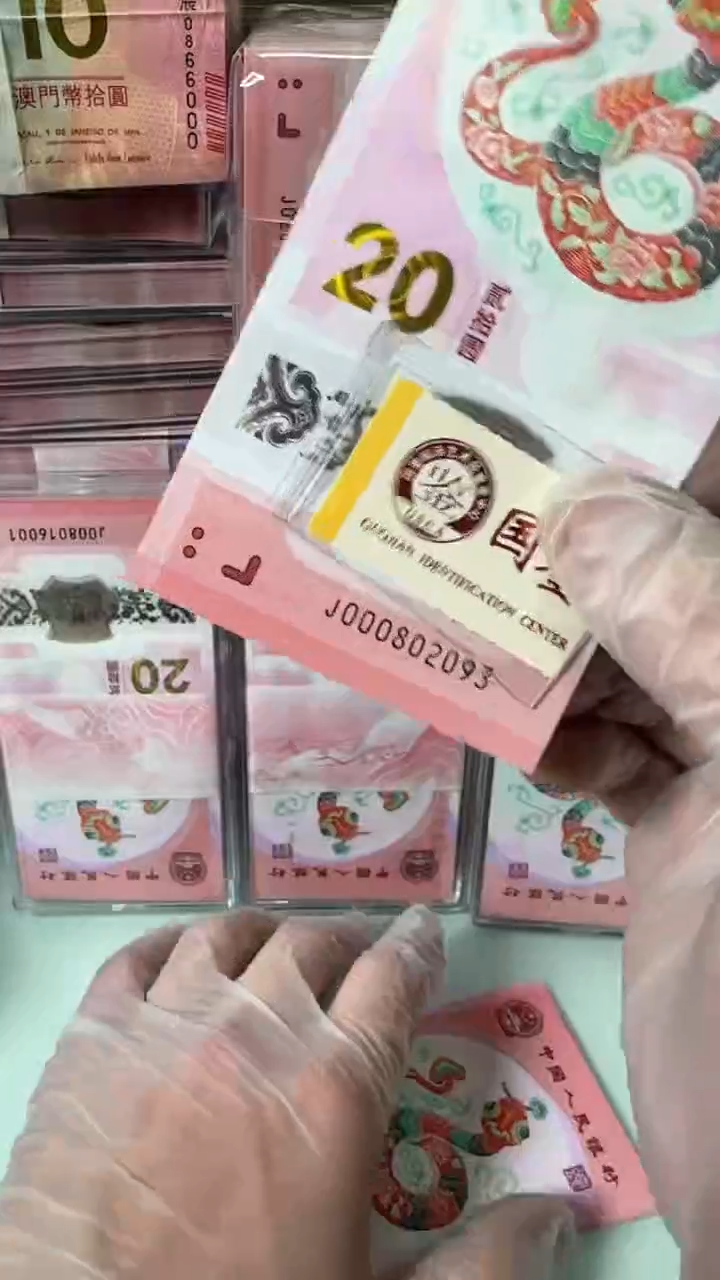 【闪购商品】塑料000802093-蛇钞单张！