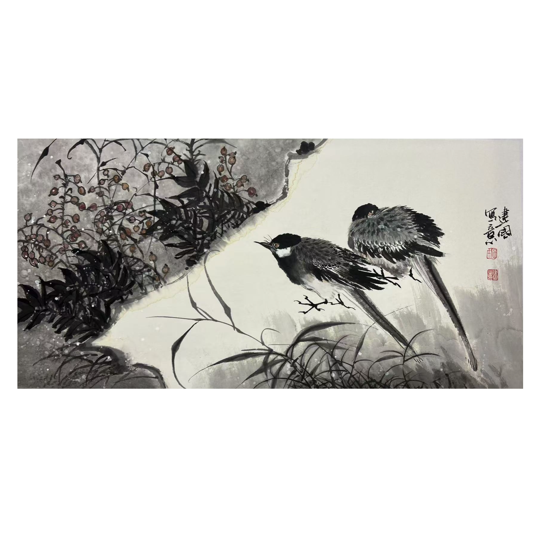 施老师水墨花鸟国画作品