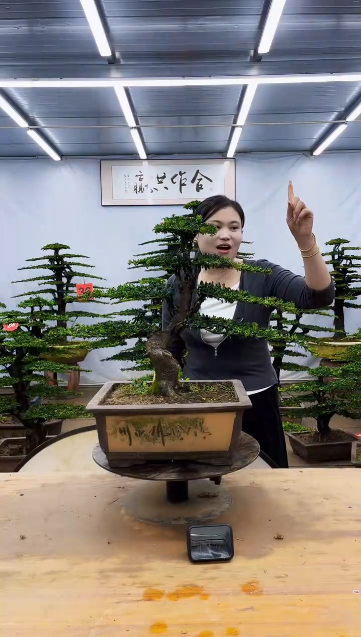 无花朵一物一拍，所见即所得