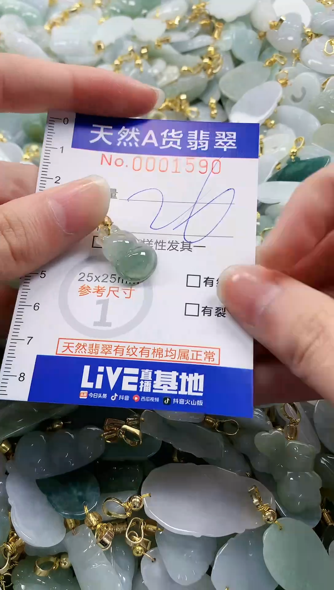 颈饰未镶嵌翡翠纯天然a货翡翠