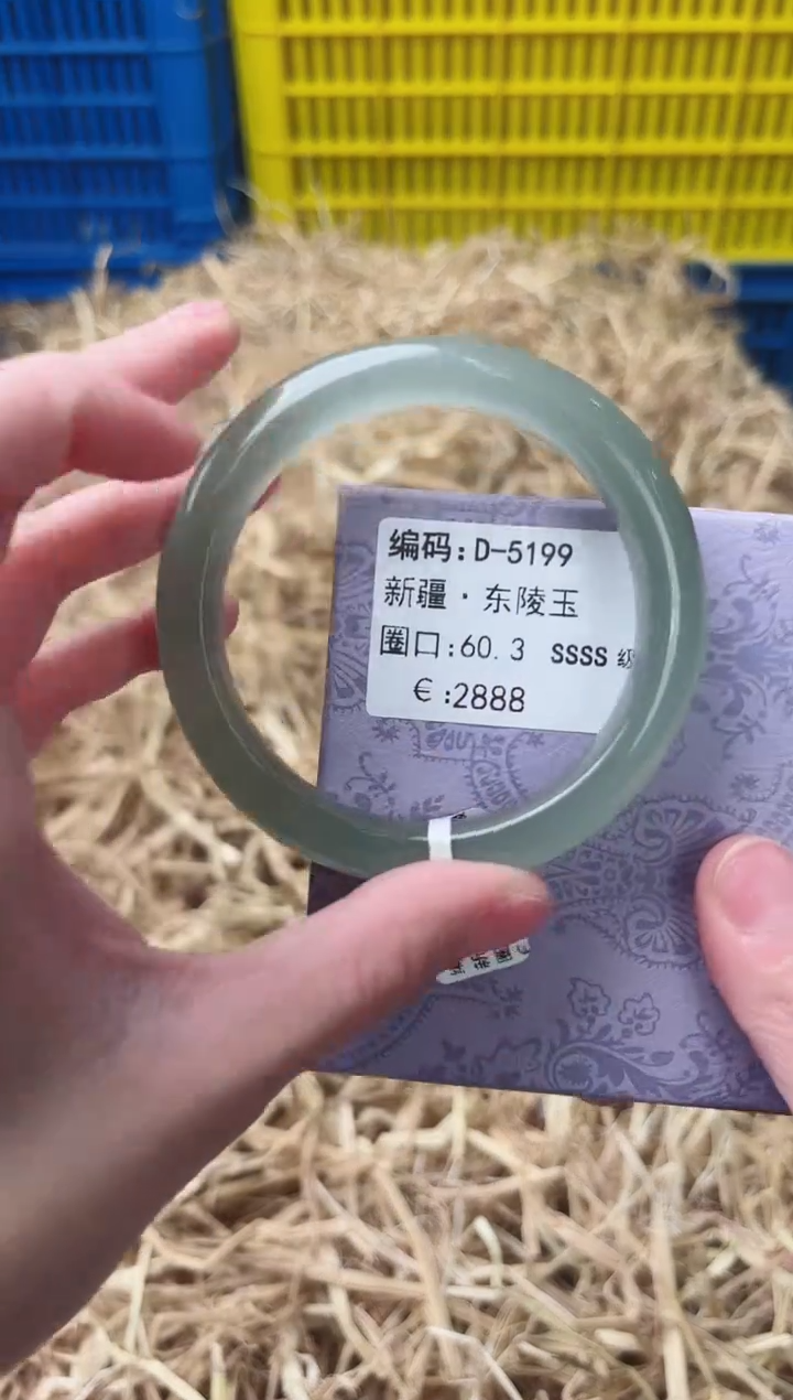 未镶嵌手镯石英质玉D-5199