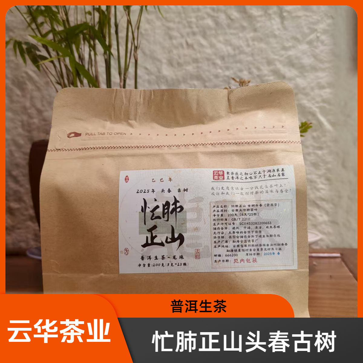 2025年 忙肺正山 古树头春 普洱生茶