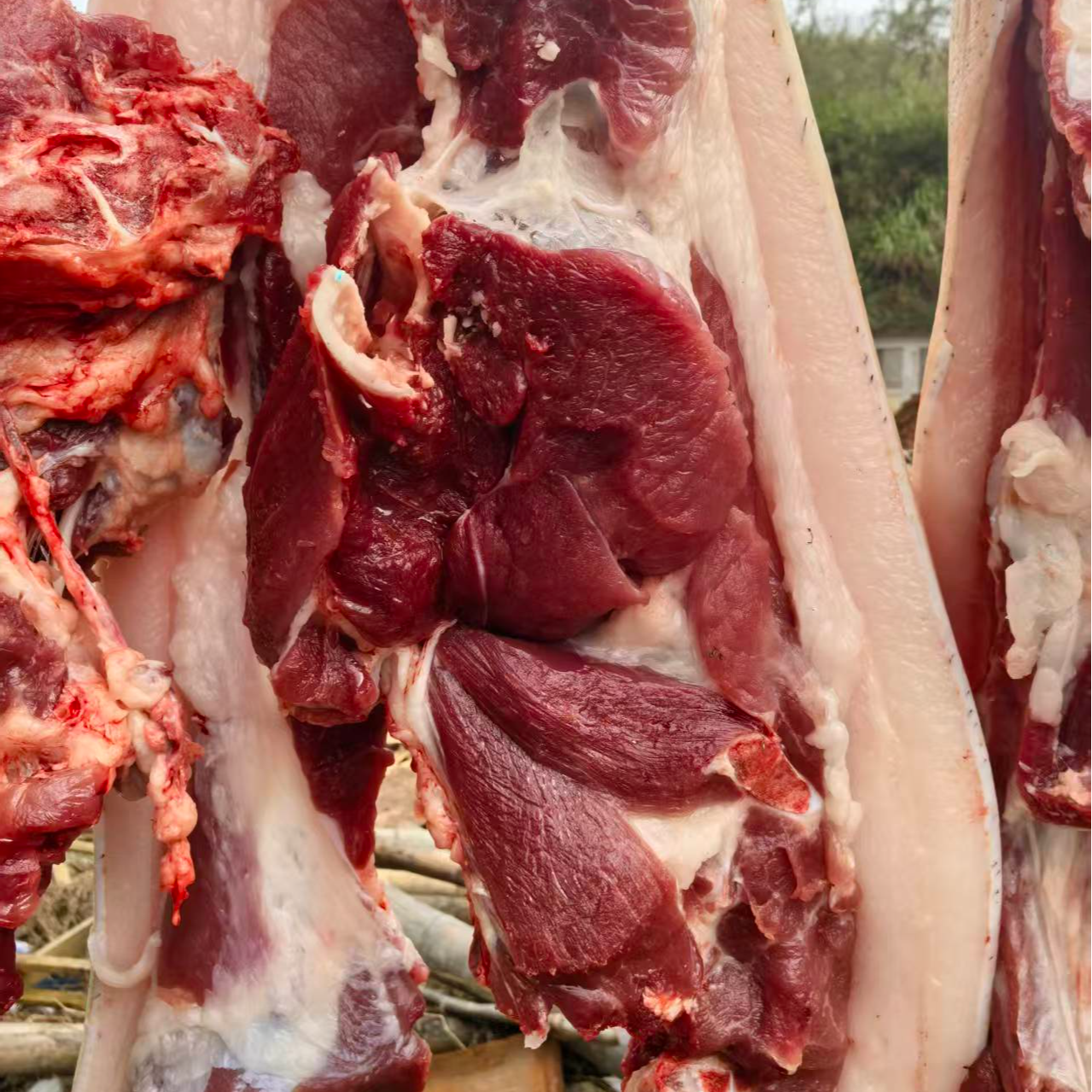 【现称】金寨黑毛猪肉土猪肉新鲜顺丰包邮