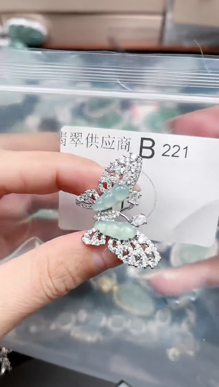 【闪购商品】翡翠颈饰未镶嵌221赠皮绳