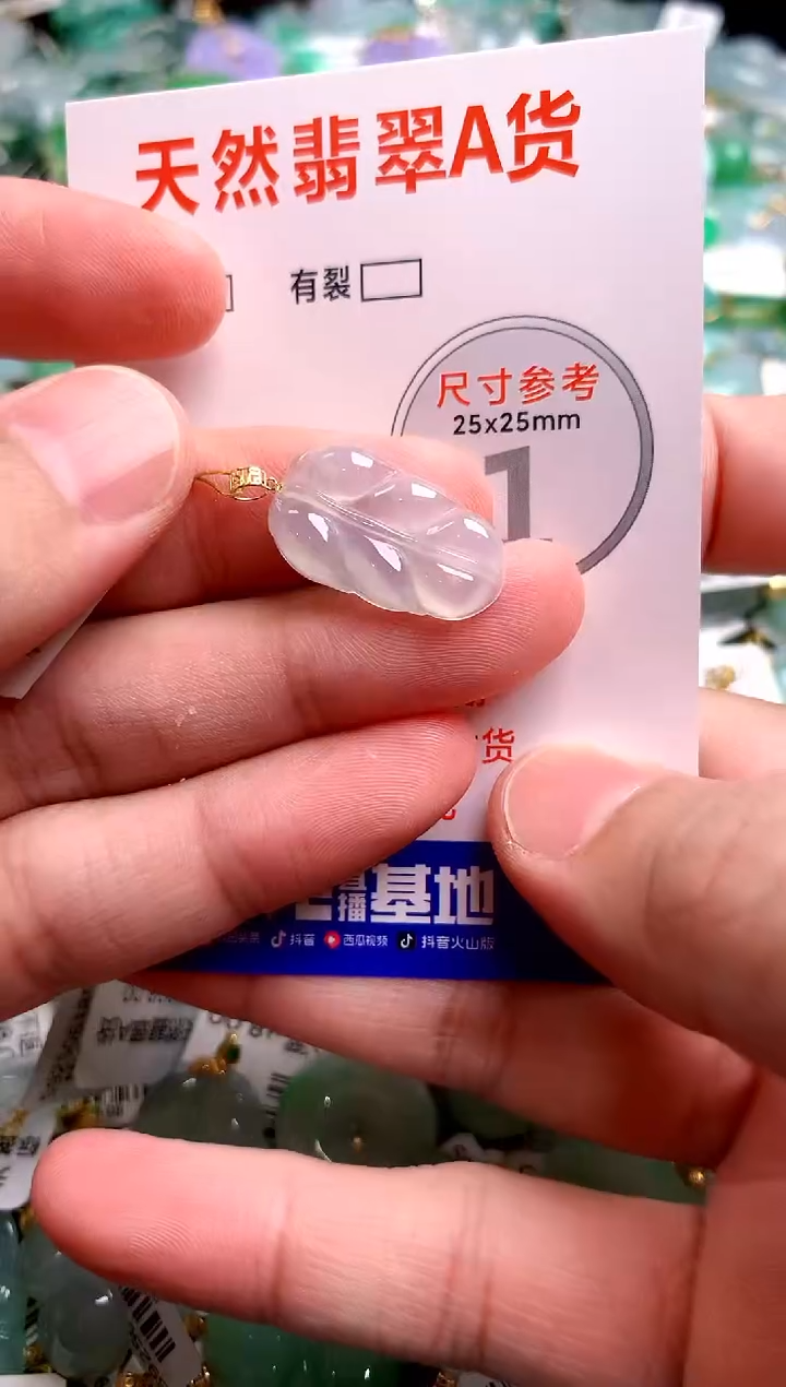 翡翠18K金镶嵌颈饰24000071