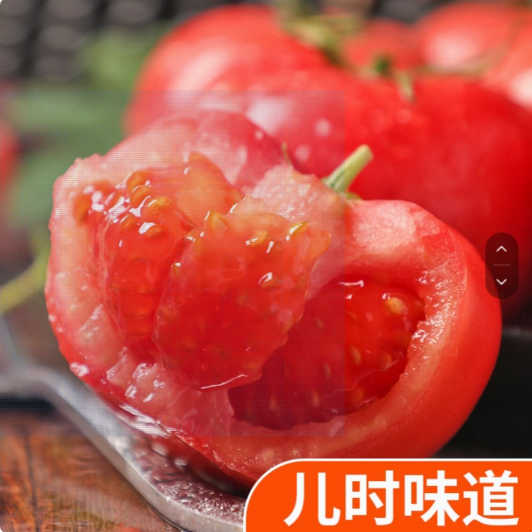 安特莱斯现摘水果西红柿新鲜沙瓤西红柿口感生吃番茄水果柿子蔬菜