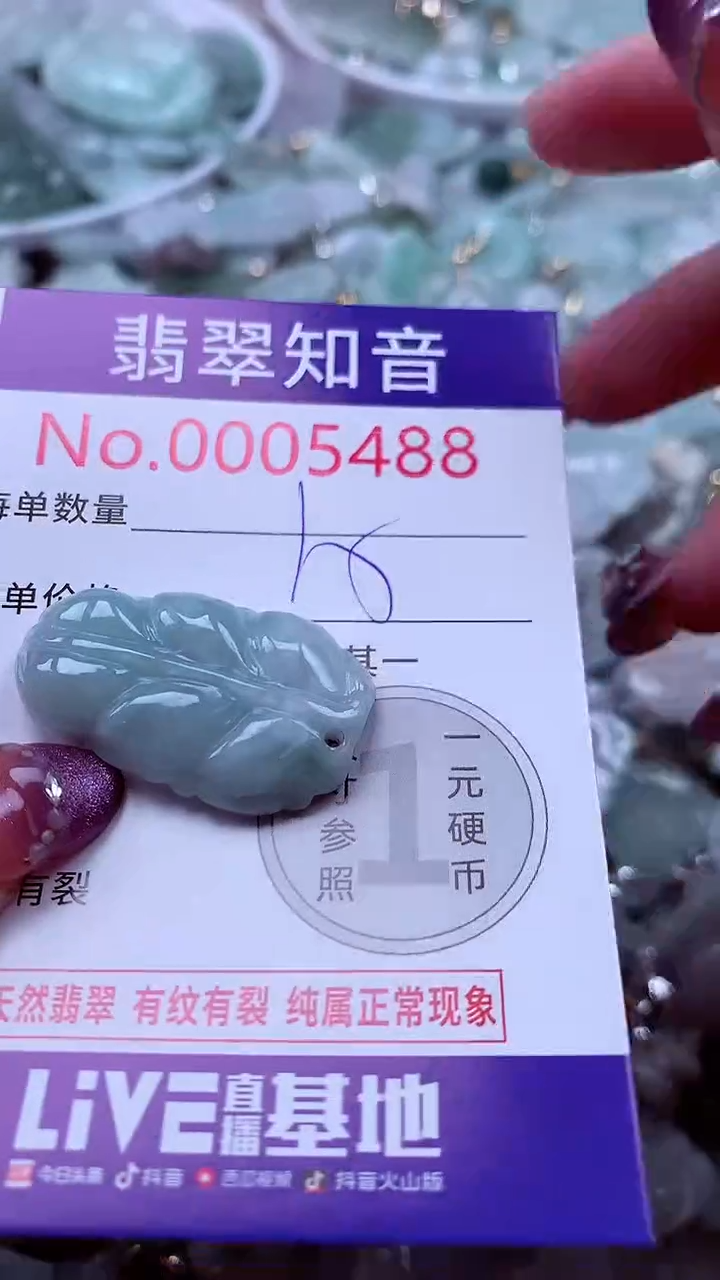 翡翠未镶嵌吊坠(不含链)5488