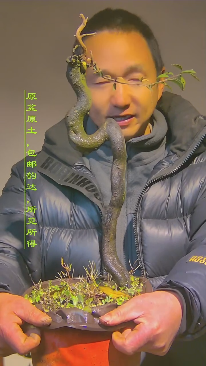 【闪购商品】金弹子