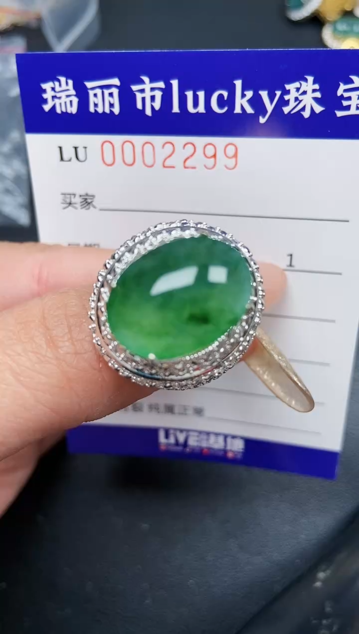 【闪购商品】翡翠颈饰未镶嵌铜托2299